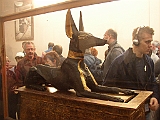 Lupo Egitto 158